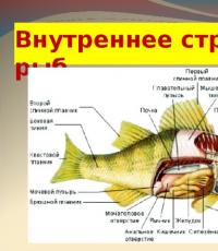 présentation biologie