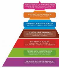Pyramide des besoins de Maslow : théorie, exemples, niveaux, besoins physiologiques